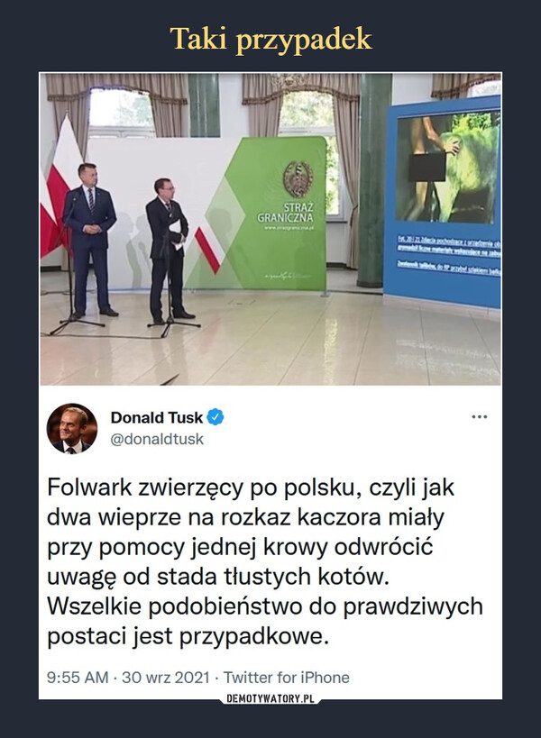  –  Donald Tusk@donaldtuskFolwark zwierzęcy po polsku, czyli jak dwa wieprze na rozkaz kaczora miały przy pomocy jednej krowy odwrócić uwagę od stada tłustych kotów. Wszelkie podobieństwo do prawdziwych postaci jest przypadkowe.9:55 AM · 30 wrz 2021·Twitter for iPhone