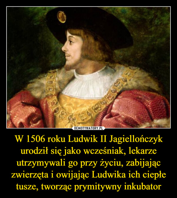 W 1506 roku Ludwik II Jagiellończyk urodził się jako wcześniak, lekarze utrzymywali go przy życiu, zabijając zwierzęta i owijając Ludwika ich ciepłe tusze, tworząc prymitywny inkubator