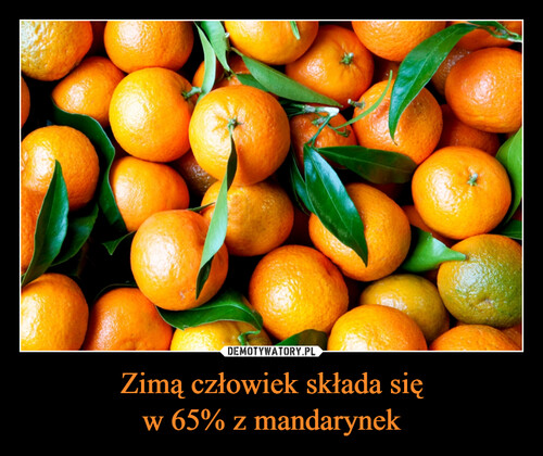 Zimą człowiek składa się
w 65% z mandarynek