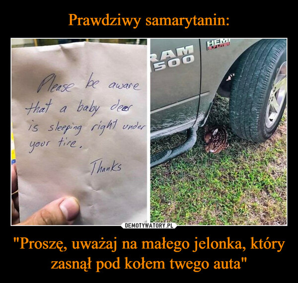 Prawdziwy samarytanin: "Proszę, uważaj na małego jelonka, który zasnął pod kołem twego auta"