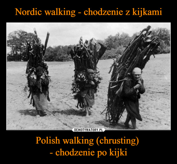 Polish walking (chrusting) - chodzenie po kijki –  