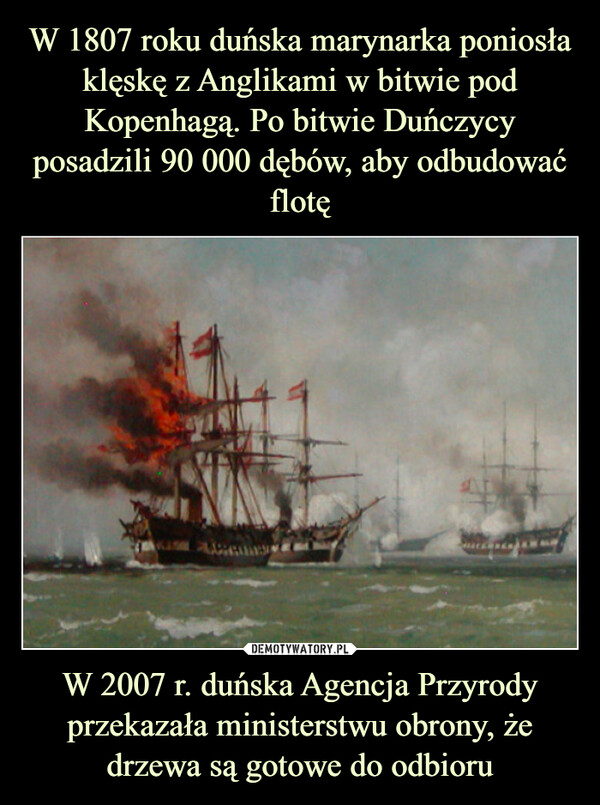 W 1807 roku duńska marynarka poniosła klęskę z Anglikami w bitwie pod Kopenhagą. Po bitwie Duńczycy posadzili 90 000 dębów, aby odbudować flotę W 2007 r. duńska Agencja Przyrody przekazała ministerstwu obrony, że drzewa są gotowe do odbioru