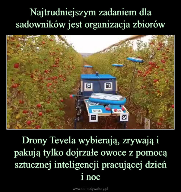 Drony Tevela wybierają, zrywają i pakują tylko dojrzałe owoce z pomocą sztucznej inteligencji pracującej dzieńi noc –  