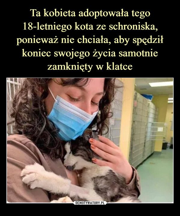 Ta kobieta adoptowała tego 18-letniego kota ze schroniska, ponieważ nie chciała, aby spędził koniec swojego życia samotnie zamknięty w klatce