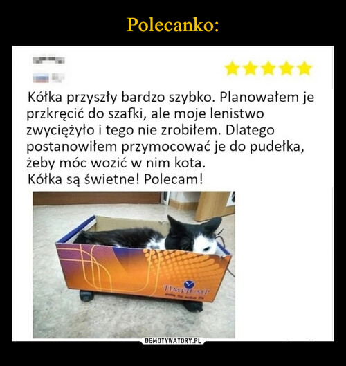 Polecanko: