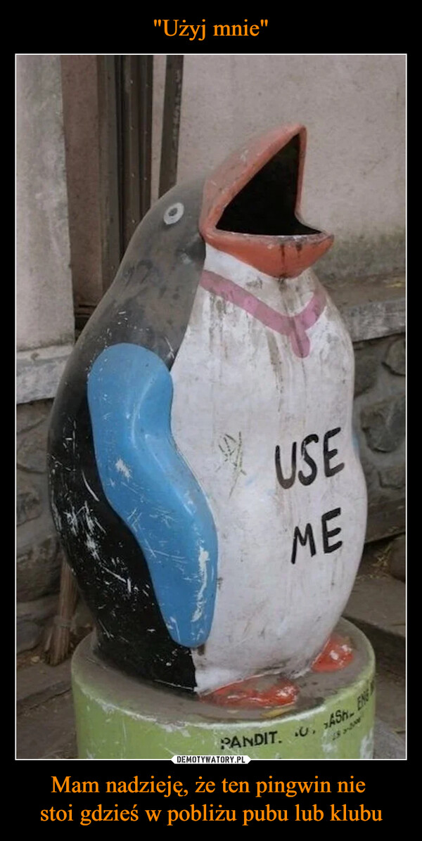 Mam nadzieję, że ten pingwin nie stoi gdzieś w pobliżu pubu lub klubu –  Use me