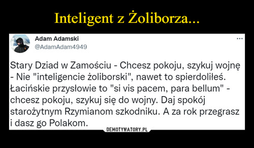Inteligent z Żoliborza...