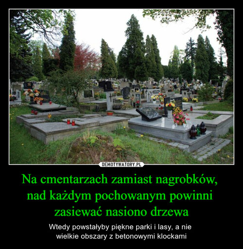 Na cmentarzach zamiast nagrobków, 
nad każdym pochowanym powinni 
zasiewać nasiono drzewa