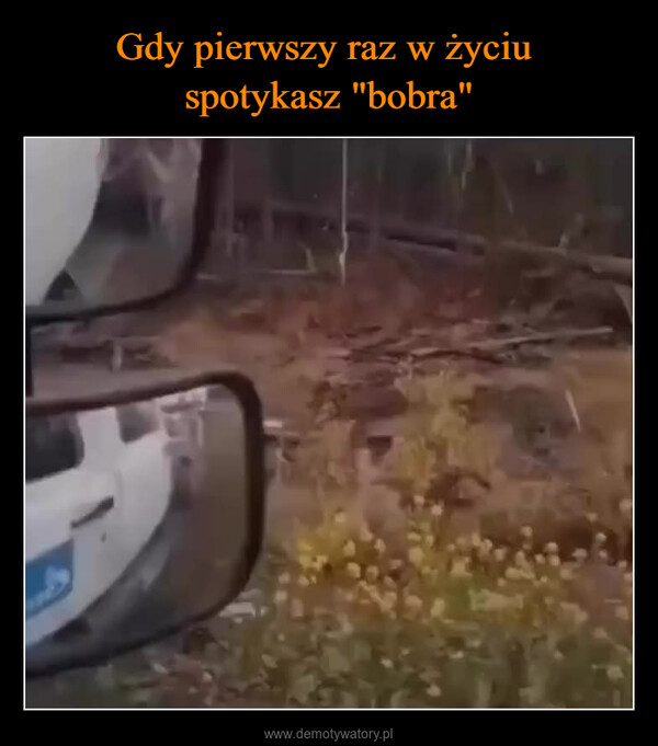  –  