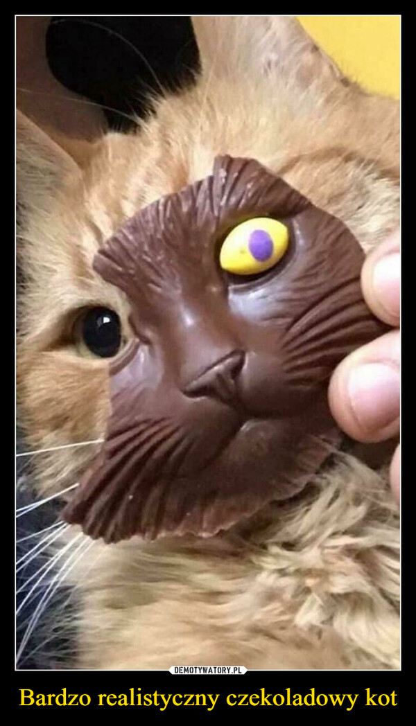Bardzo realistyczny czekoladowy kot –  