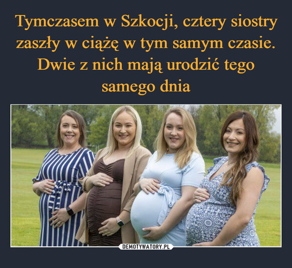 Tymczasem w Szkocji, cztery siostry zaszły w ciążę w tym samym czasie. Dwie z nich mają urodzić tego samego dnia