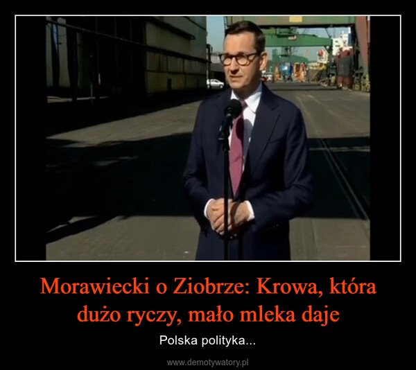 Morawiecki o Ziobrze: Krowa, która dużo ryczy, mało mleka daje – Polska polityka... 
