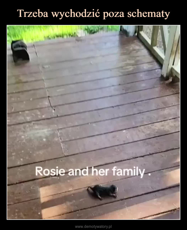  –  Rosie and her family.