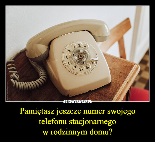 Pamiętasz jeszcze numer swojego telefonu stacjonarnegow rodzinnym domu? –  Vera Lair stocksy.com/2202773all)10UWល