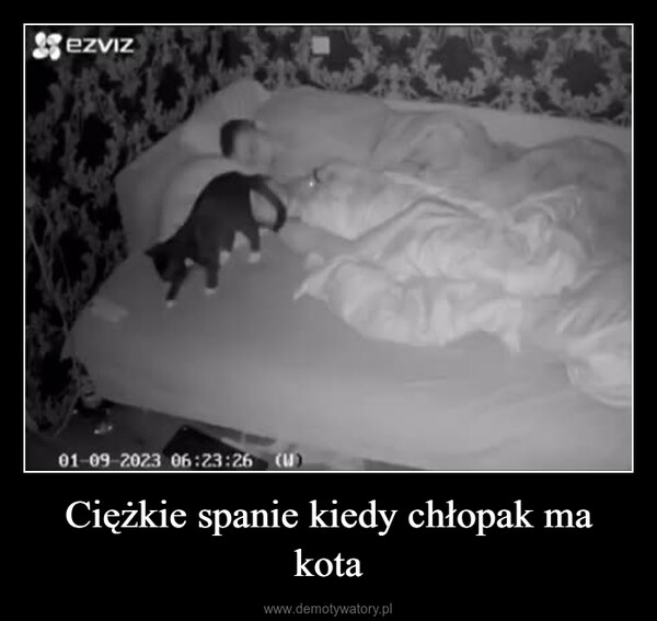 Ciężkie spanie kiedy chłopak ma kota –  SezVIz01-09-2023 06:23:26 (W)