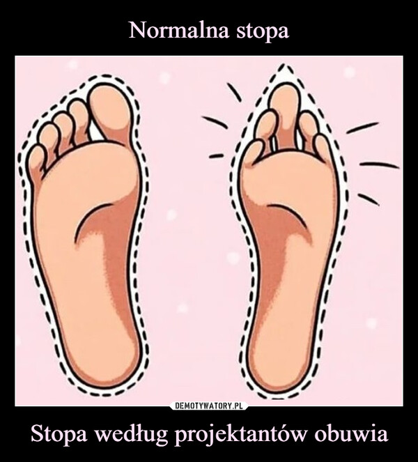 Normalna stopa Stopa według projektantów obuwia