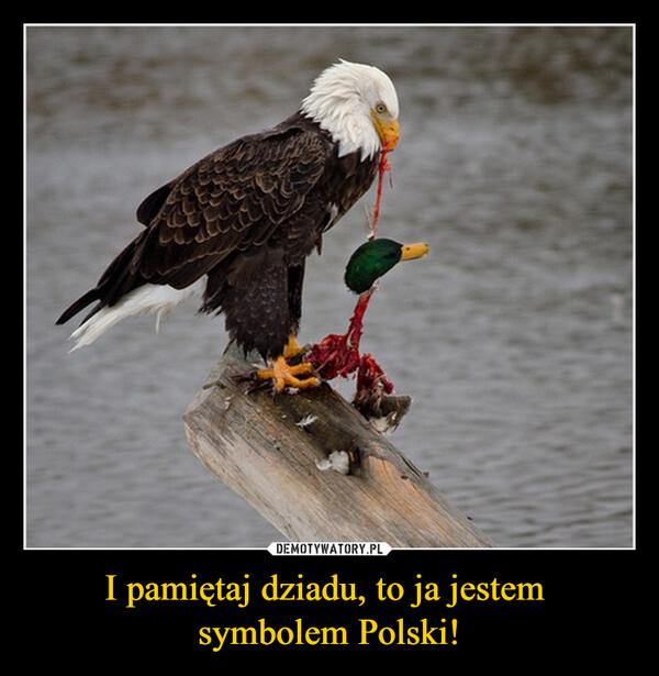 I pamiętaj dziadu, to ja jestem symbolem Polski! –  