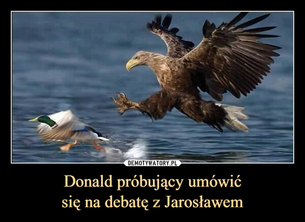 Donald próbujący umówić
się na debatę z Jarosławem