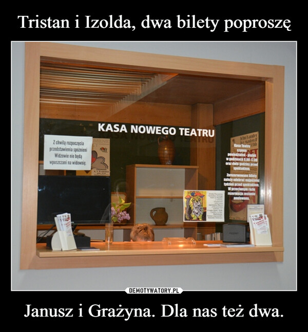 Tristan i Izolda, dwa bilety poproszę Janusz i Grażyna. Dla nas też dwa.