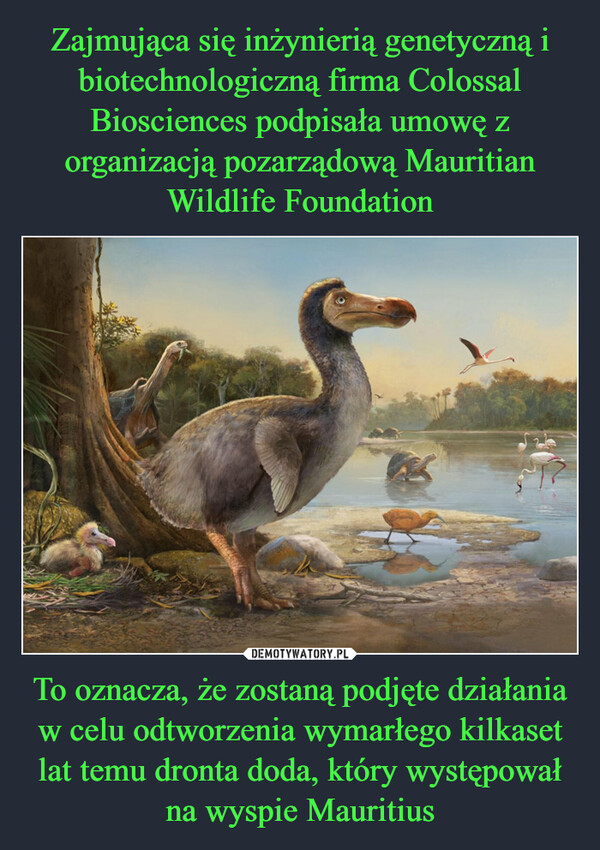 To oznacza, że zostaną podjęte działania w celu odtworzenia wymarłego kilkaset lat temu dronta doda, który występował na wyspie Mauritius –  