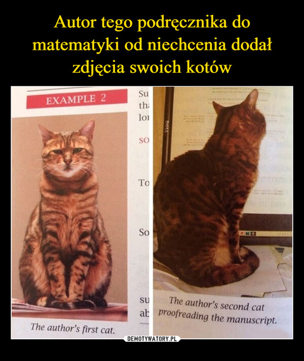  –  EXAMPLE 2The author's first cat.Suthi101SOToSo936SUThe author's second catat proofreading the manuscript.