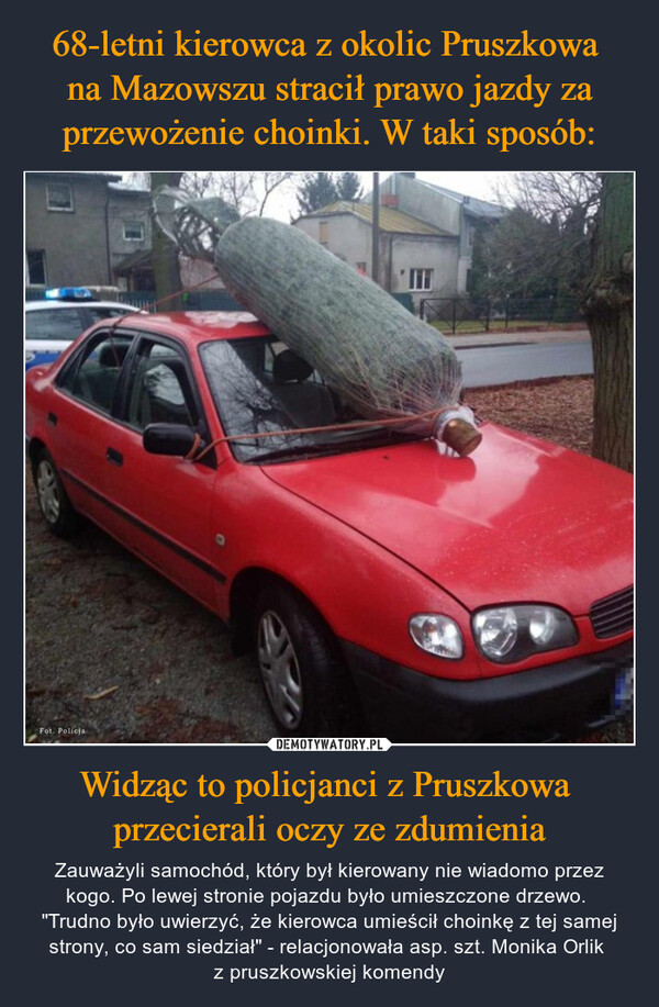 Widząc to policjanci z Pruszkowa przecierali oczy ze zdumienia – Zauważyli samochód, który był kierowany nie wiadomo przez kogo. Po lewej stronie pojazdu było umieszczone drzewo. "Trudno było uwierzyć, że kierowca umieścił choinkę z tej samej strony, co sam siedział" - relacjonowała asp. szt. Monika Orlik z pruszkowskiej komendy Fot. Policja