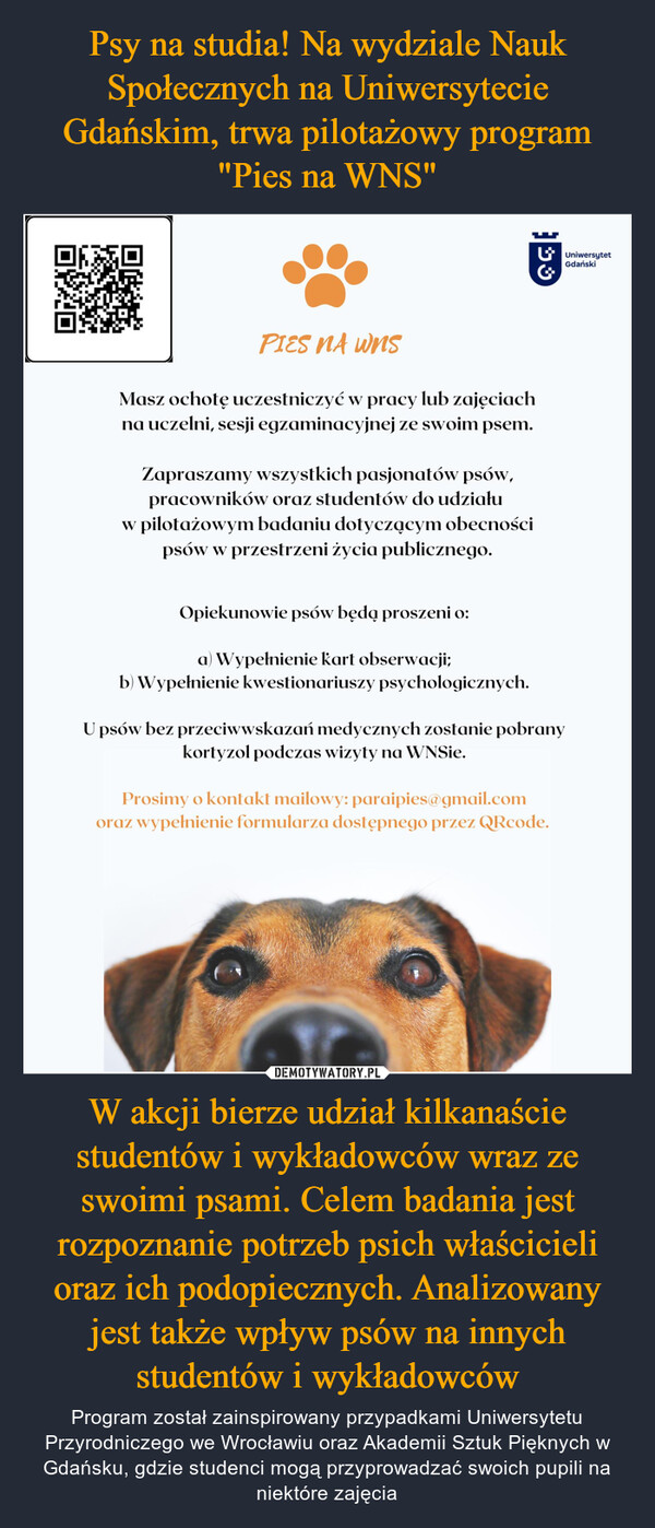 Psy na studia! Na wydziale Nauk Społecznych na Uniwersytecie Gdańskim, trwa pilotażowy program "Pies na WNS" W akcji bierze udział kilkanaście studentów i wykładowców wraz ze swoimi psami. Celem badania jest rozpoznanie potrzeb psich właścicieli oraz ich podopiecznych. Analizowany jest także wpływ psów na innych studentów i wykładowców