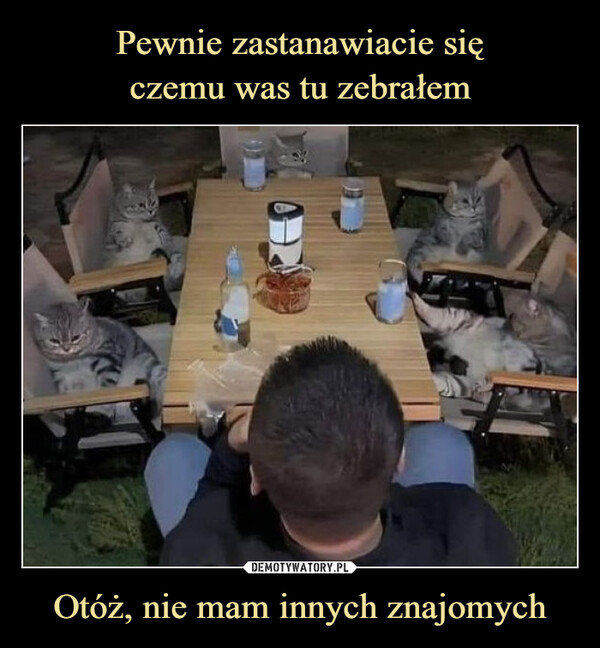 Otóż, nie mam innych znajomych –  