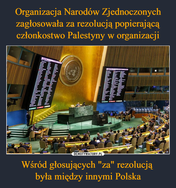 Wśród głosujących "za" rezolucją była między innymi Polska –  