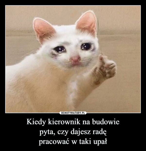Kiedy kierownik na budowie pyta, czy dajesz radę pracować w taki upał –  