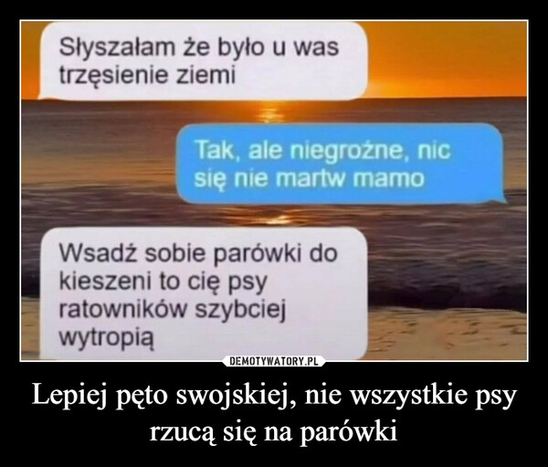 Lepiej pęto swojskiej, nie wszystkie psy rzucą się na parówki –  Słyszałam że było u wastrzęsienie ziemiTak, ale niegroźne, nicsię nie martw mamoWsadź sobie parówki dokieszeni to cię psyratowników szybciejwytropią