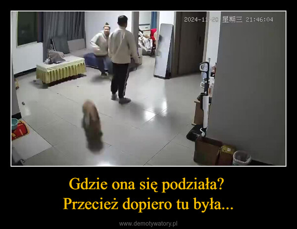 Gdzie ona się podziała? Przecież dopiero tu była... –  2024-11-20 21:46:04