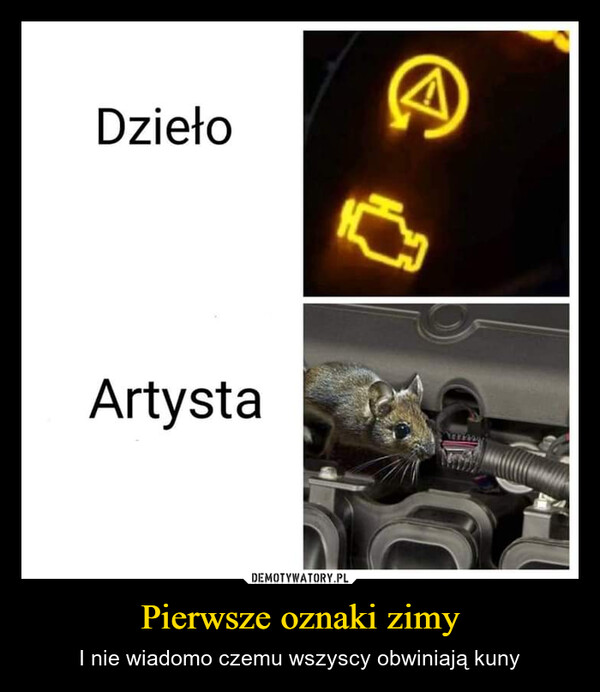 Pierwsze oznaki zimy – I nie wiadomo czemu wszyscy obwiniają kuny DziełoArtysta