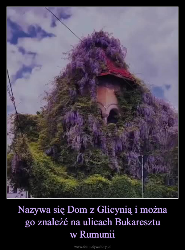 Nazywa się Dom z Glicynią i możnago znaleźć na ulicach Bukaresztuw Rumunii –  