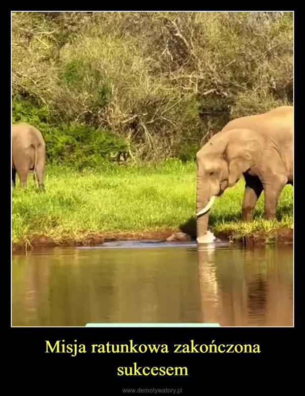 Misja ratunkowa zakończona sukcesem –  Rescue mission!♥The herd saves their little one.